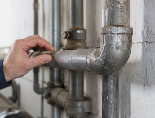 Lead in Office Drinking Water: St. Louis 2026